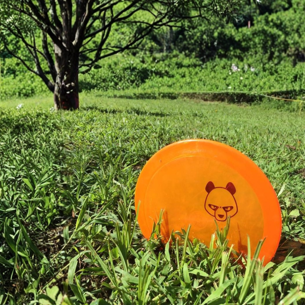 Shop Discs